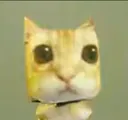 mewhen