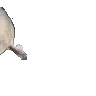 sealArrive