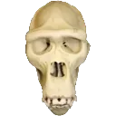 emoji_160