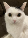 Memiras Discord emoji