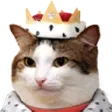 King King