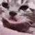 SadCat SadCat