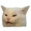 CLe_Smudgecat