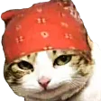 Yo Yo