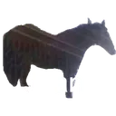 Juan4