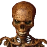 :angry_skeleton: