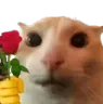catWithRose