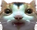 guh guh