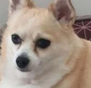 eepy