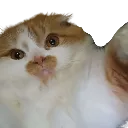 Hugs hugs Discord Emoji