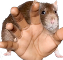 Agarrado Discord emoji