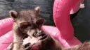 raccfloaton