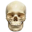 SkullRTX