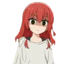 no_kitaura