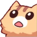 CatWuh