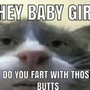 Funnycat Funnycat Discord Emoji