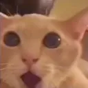 y_shocked
