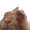 bunny_vibe Discord emoji