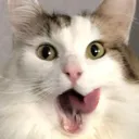 emoji_11