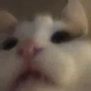 emoji_15
