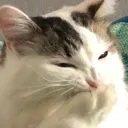 emoji_16