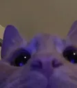HIII