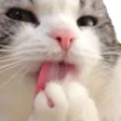Oymay Oymay