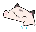 bongomeowy