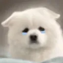 Sad
