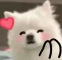 SoHAPPY