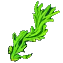 seaweed