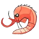 shrimp