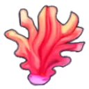coral