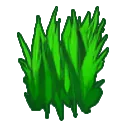 forest_grass