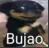 bujao