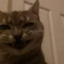 Hehe