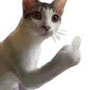Cat Middle Finger catmiddlefinger Discord Emoji