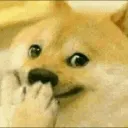 shibegiggle