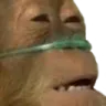 copetang copetang