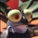 salmoninotriggherato