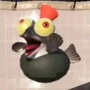 salmoninosmonco