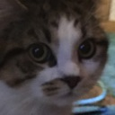 henry Discord emoji