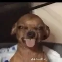hehehehehe
