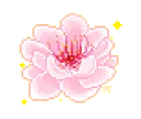 cherry_blossom