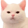 vuichoigiaitri_f2