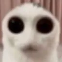 CreepyCat