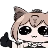 cattolike