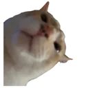 fenbert