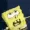 sponge