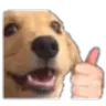 doggylike